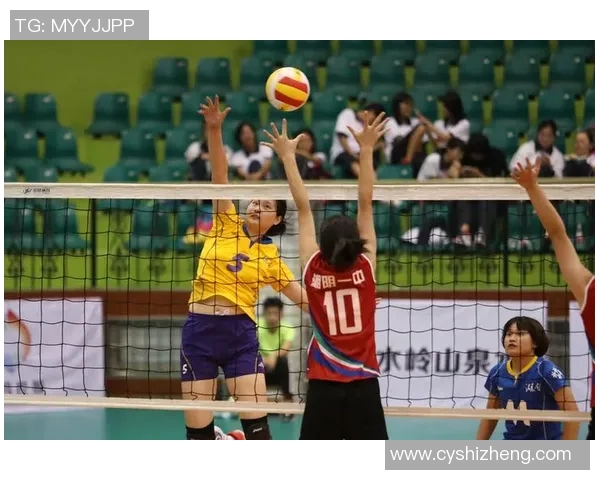 周娜专访：回顾她的排球之路与奋斗历程的精彩瞬间