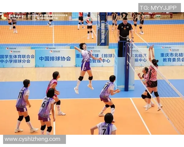 今年运动数据重庆排球队在全国排球战术排行榜中荣获第七名展现出强劲实力与潜力